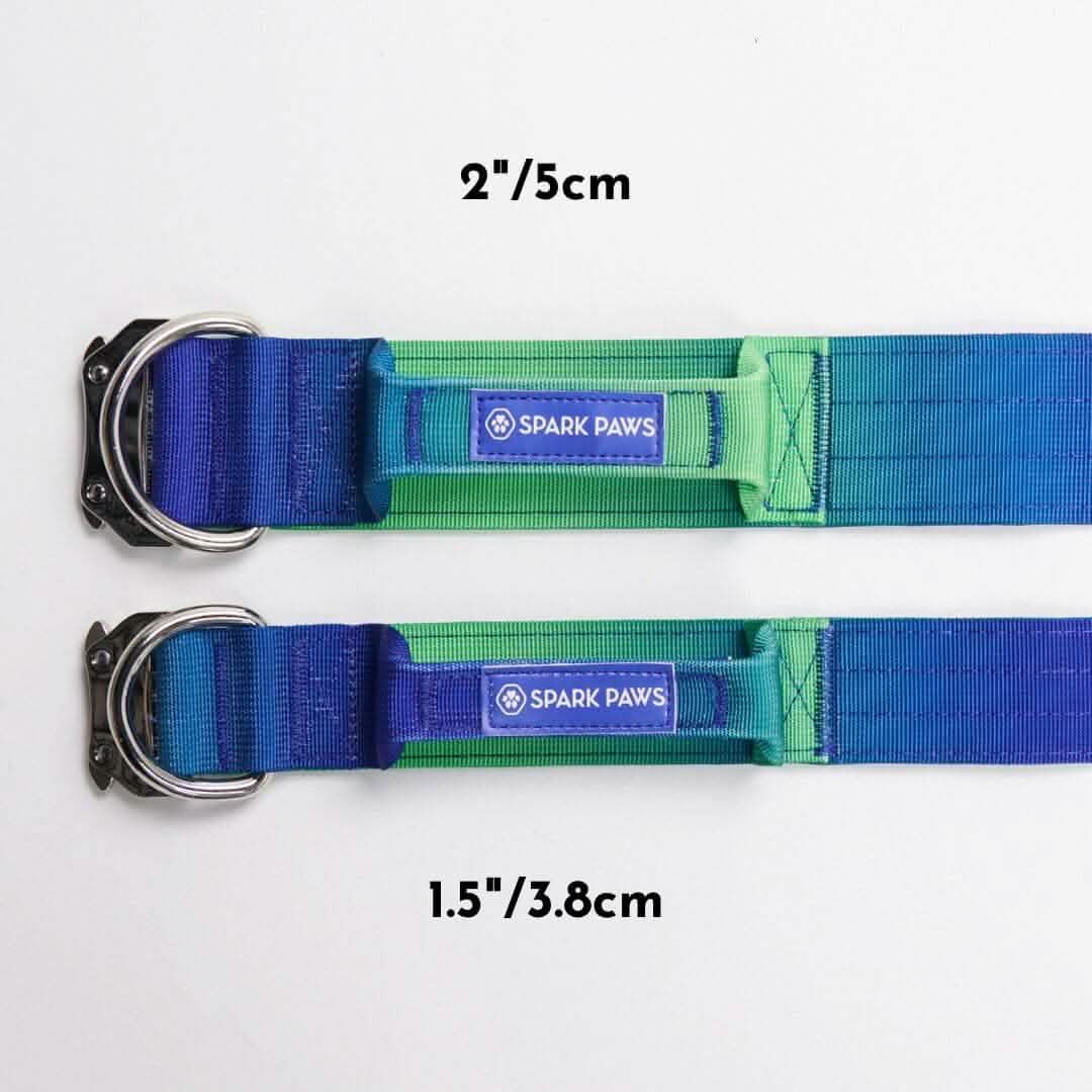Comfort Control Dog Collars - Image 31
