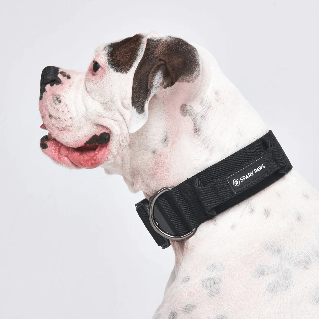 Comfort Control Dog Collars - Image 40