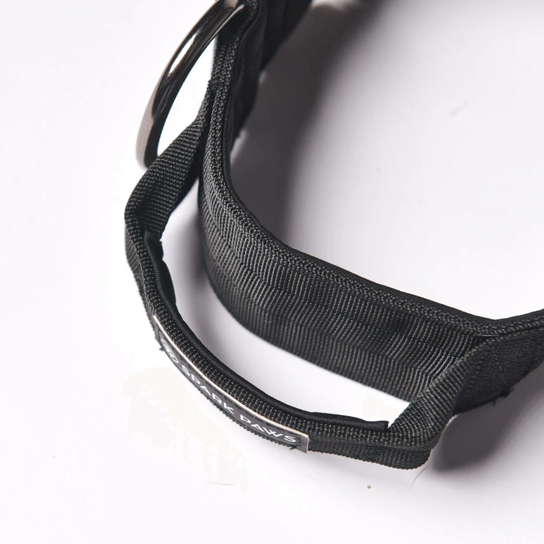 Comfort Control Dog Collars - Image 44