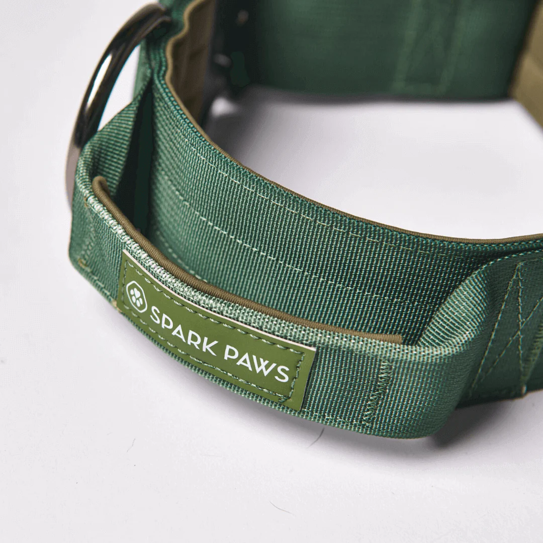 Comfort Control Dog Collars - Image 54