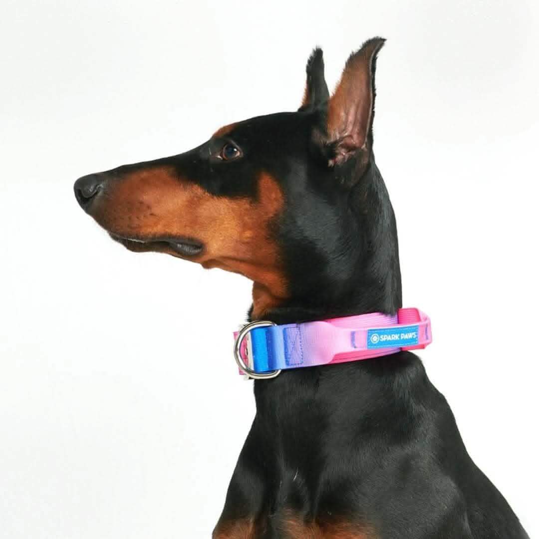 Comfort Control Dog Collars - Image 61