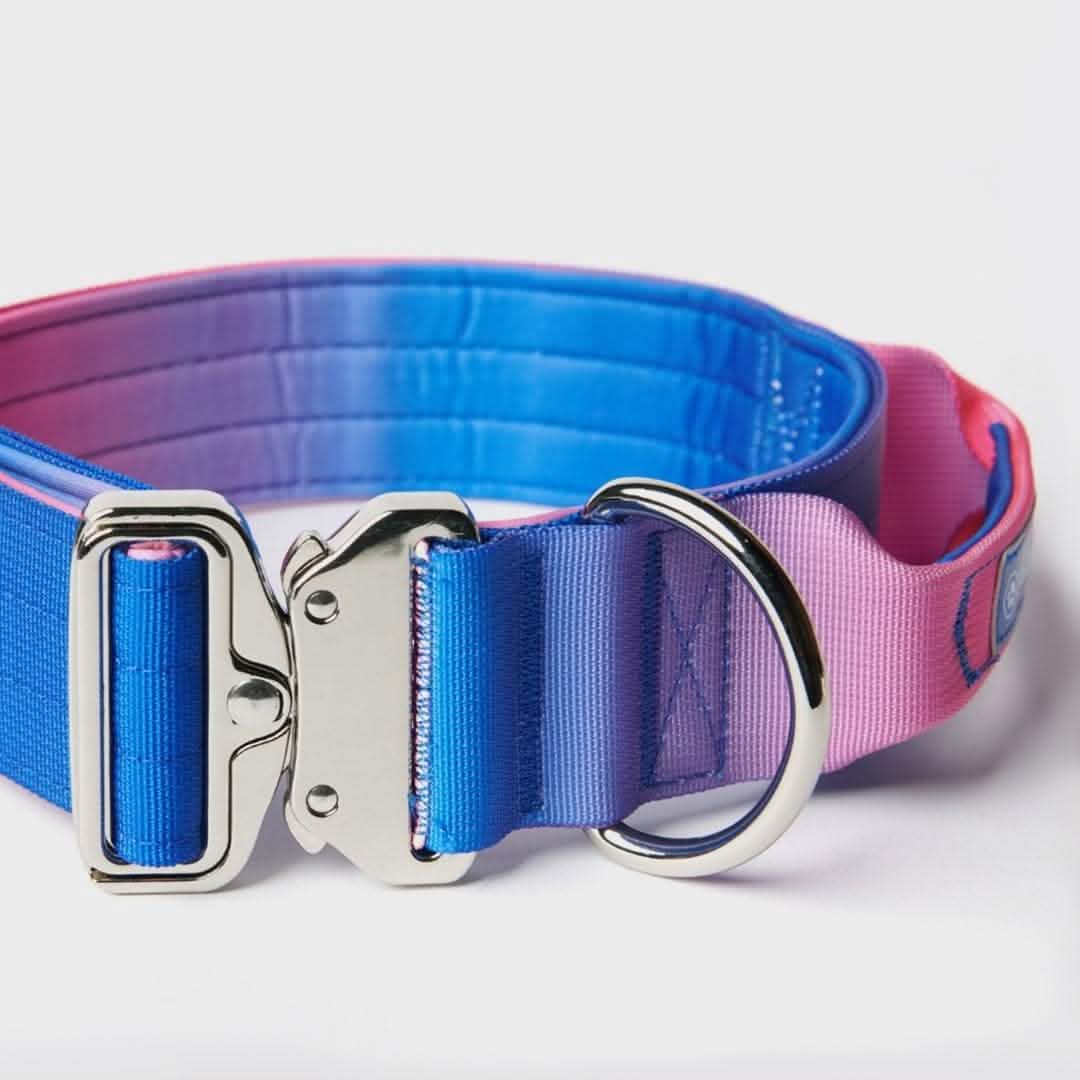 Comfort Control Dog Collars - Image 62