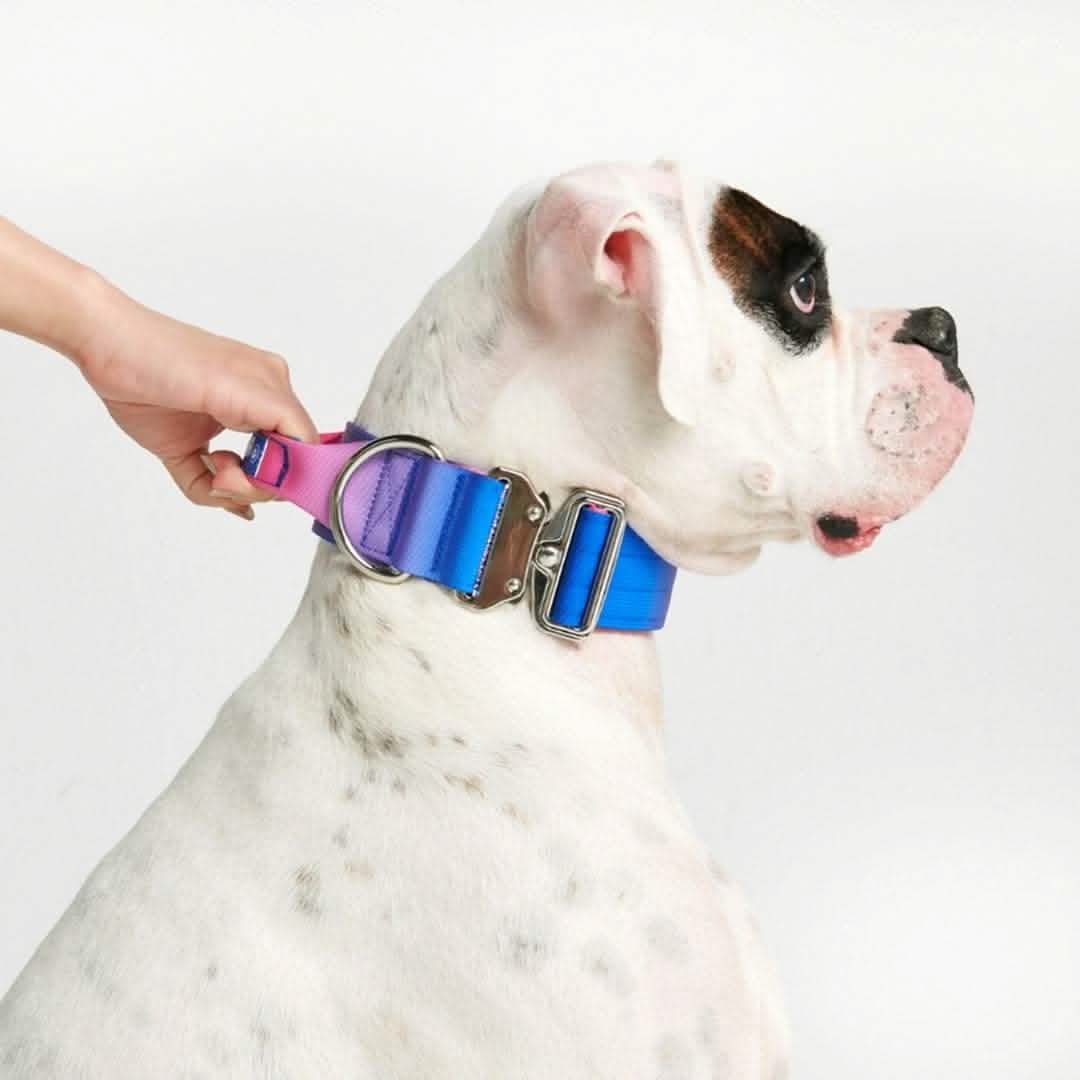 Comfort Control Dog Collars - Image 64