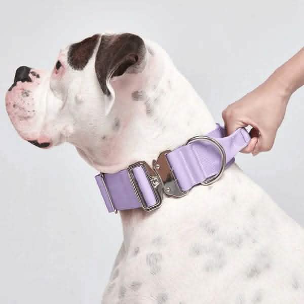 Comfort Control Dog Collars - Image 69