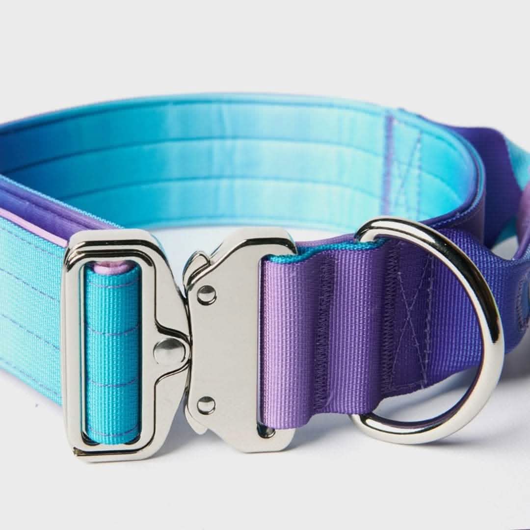 Comfort Control Dog Collars - Image 7