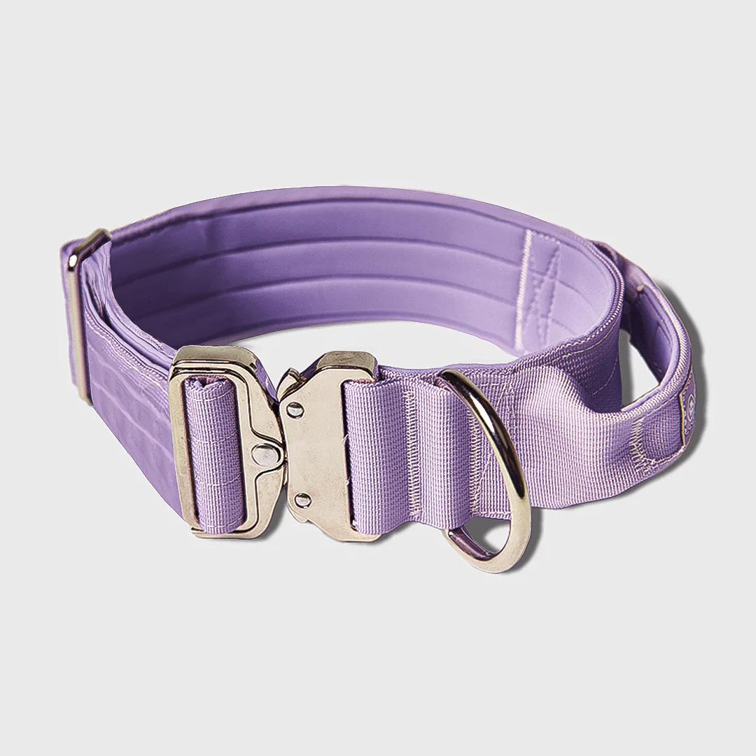 Comfort Control Dog Collars - Image 70