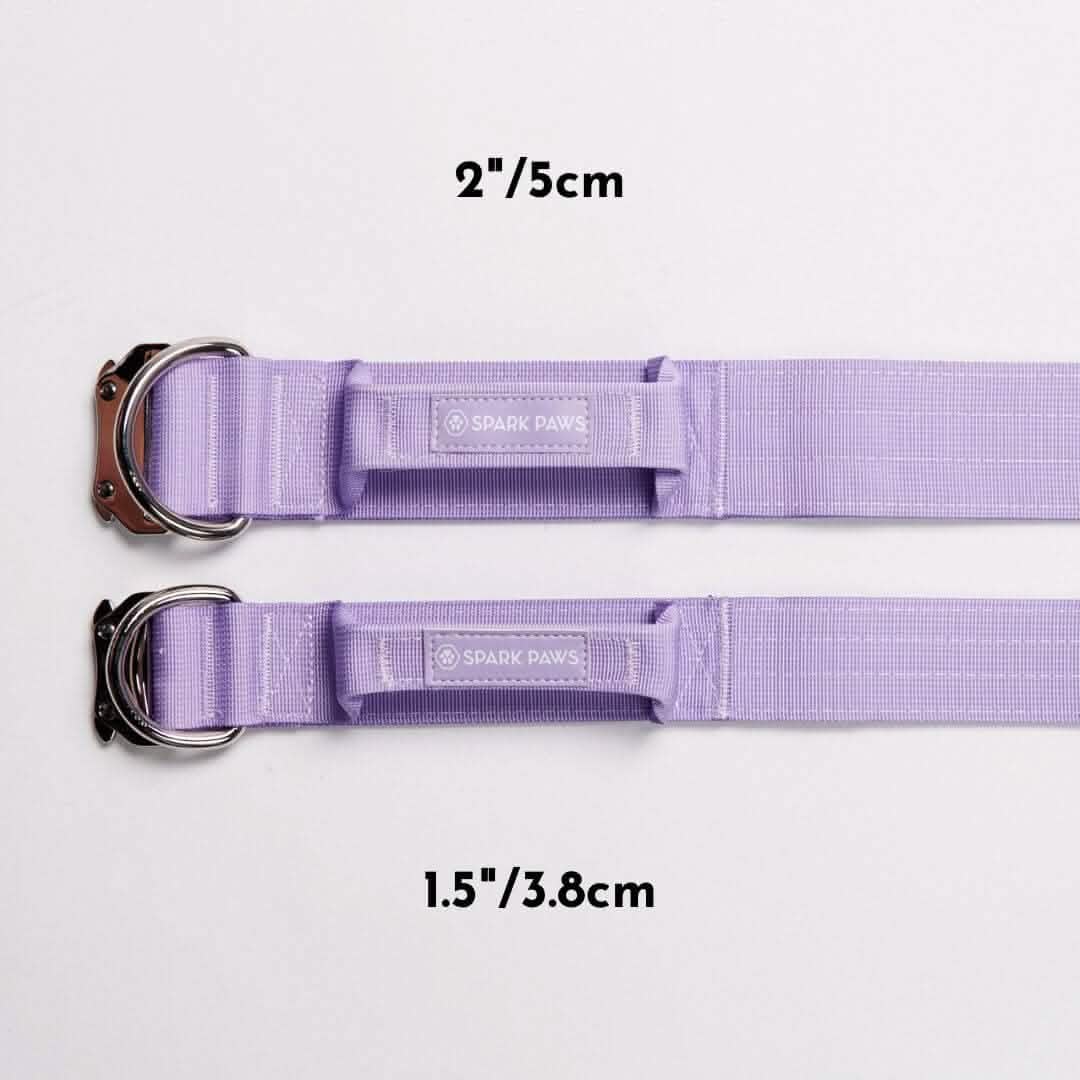 Comfort Control Dog Collars - Image 71