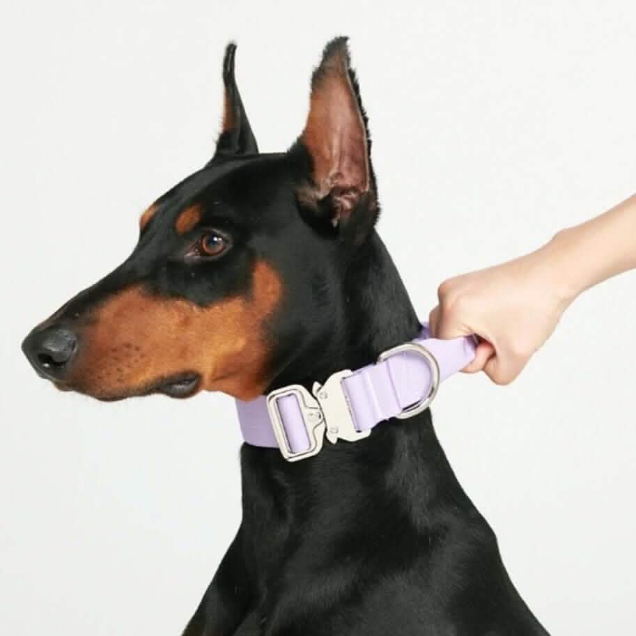 Comfort Control Dog Collars - Image 72