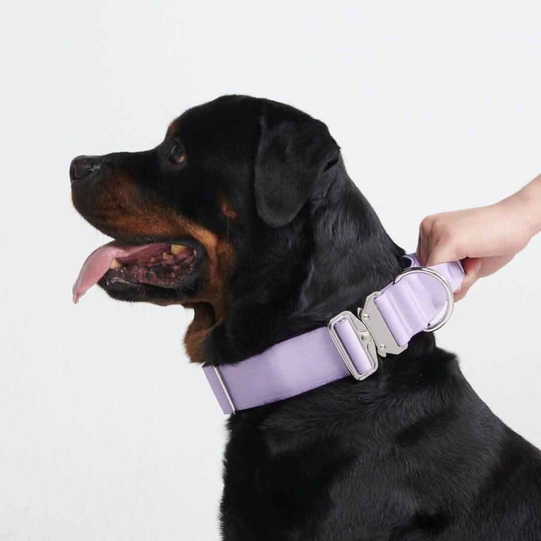 Comfort Control Dog Collars - Image 73