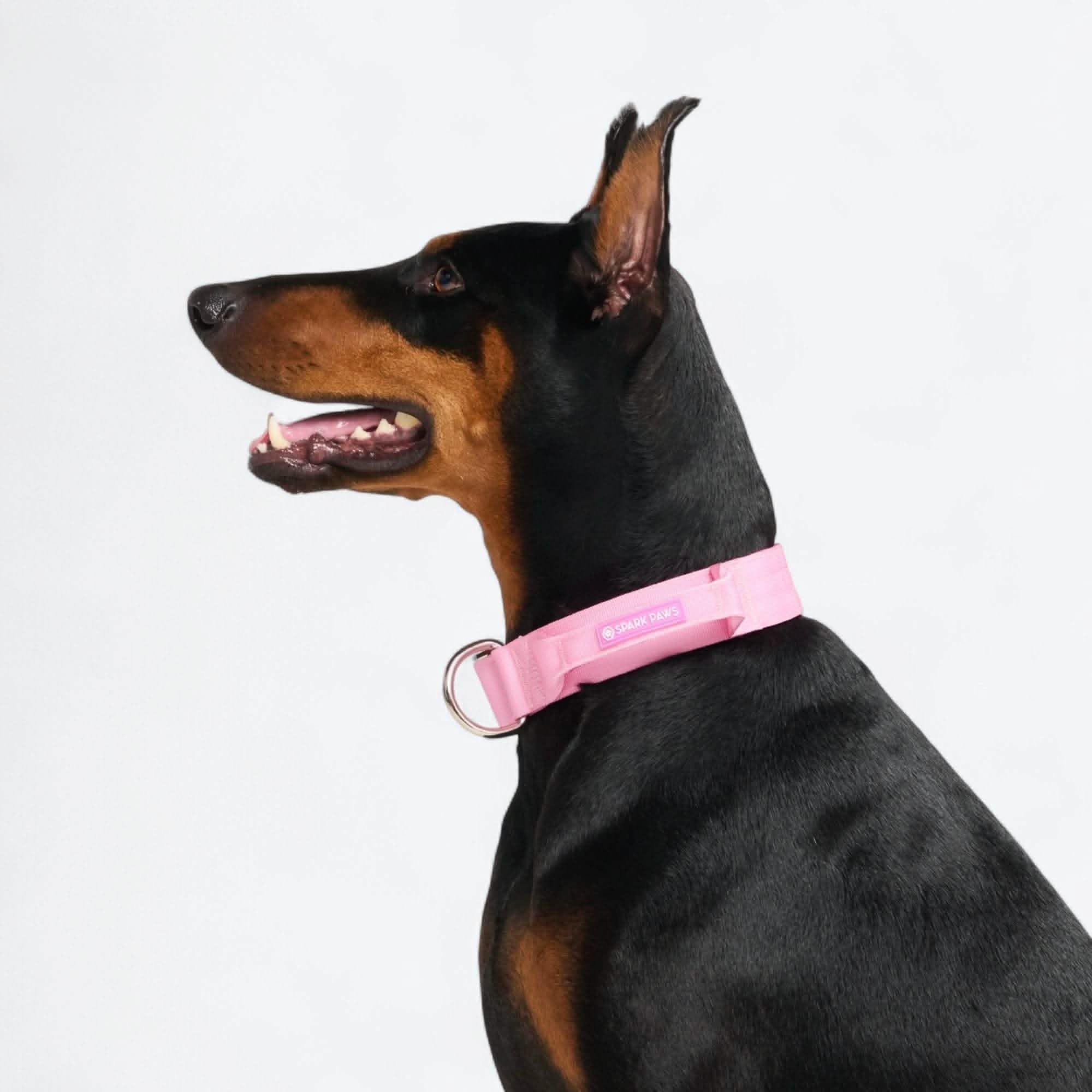 Comfort Control Dog Collars - Image 94