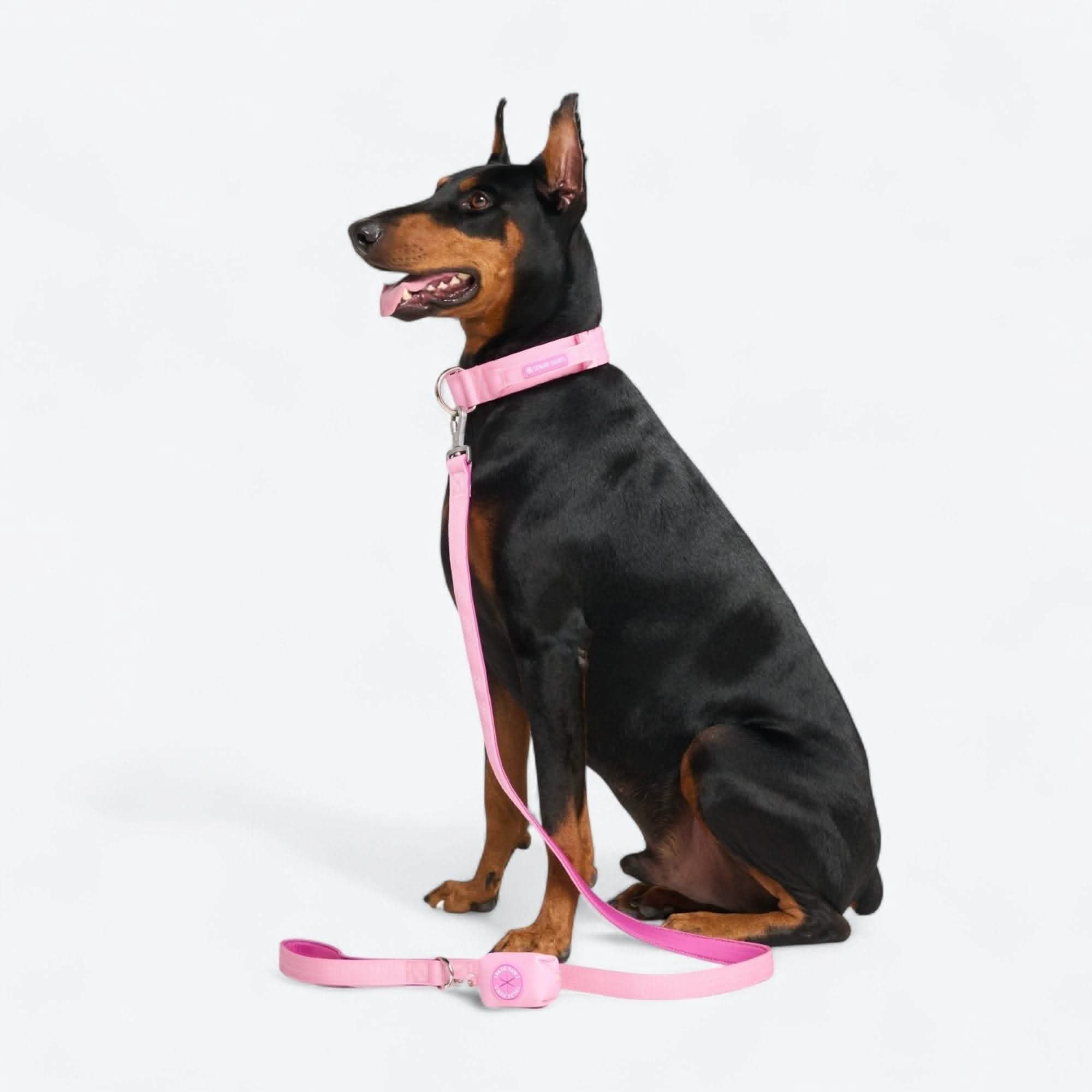 Comfort Control Dog Collars - Image 96