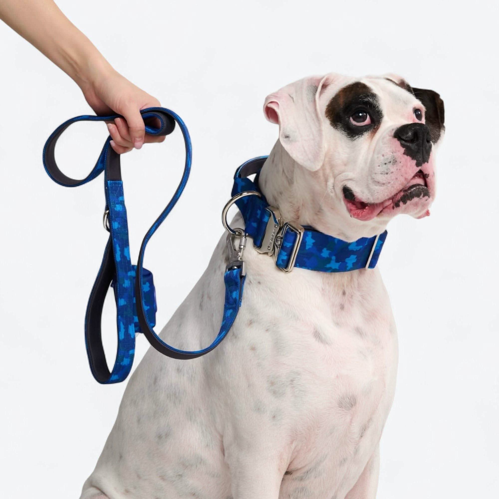 Comfort Control Dog Collars - Image 98