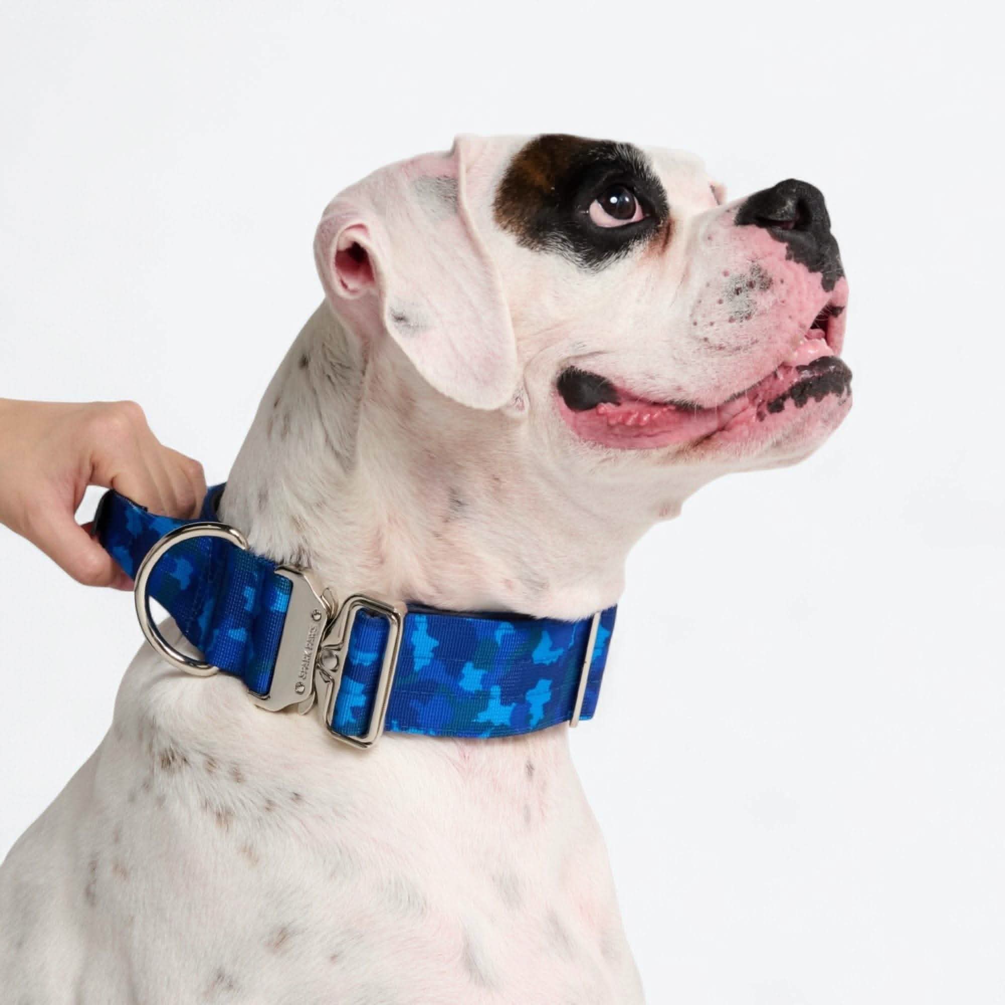 Comfort Control Dog Collars - Image 99