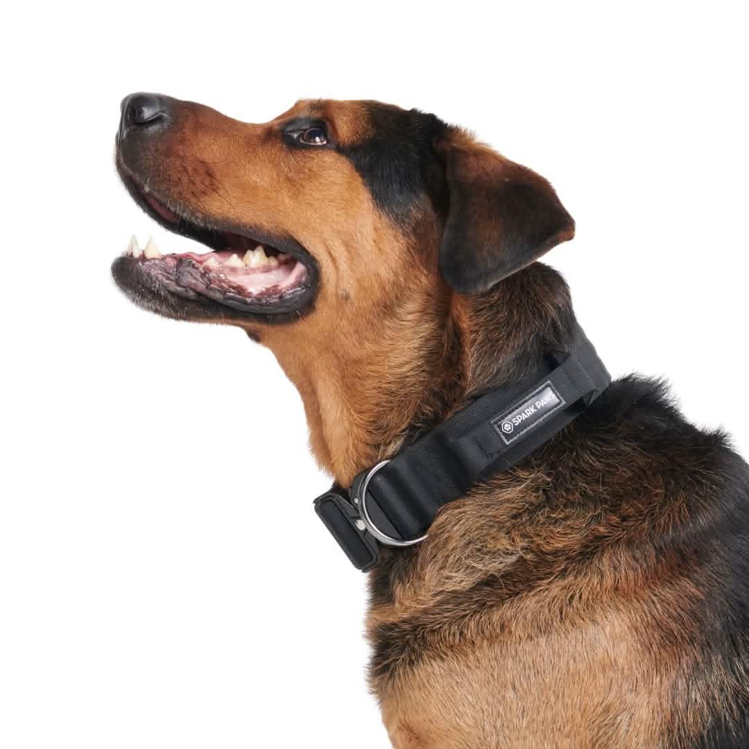 Comfort Control Collar Set - Black - Image 6