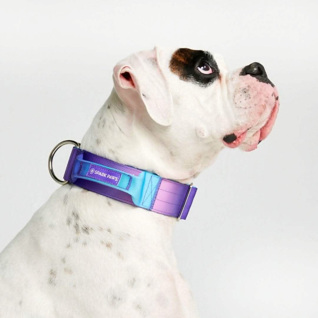 Comfort Control Collar - 90s Retro - Image 6