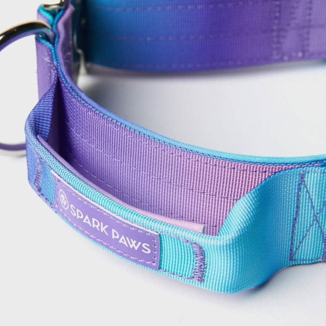Comfort Control Collar - 90s Retro - Image 8