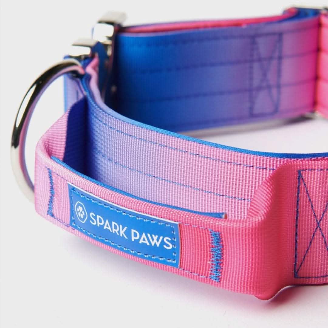 Comfort Control Collar - Snow Cone - Image 7