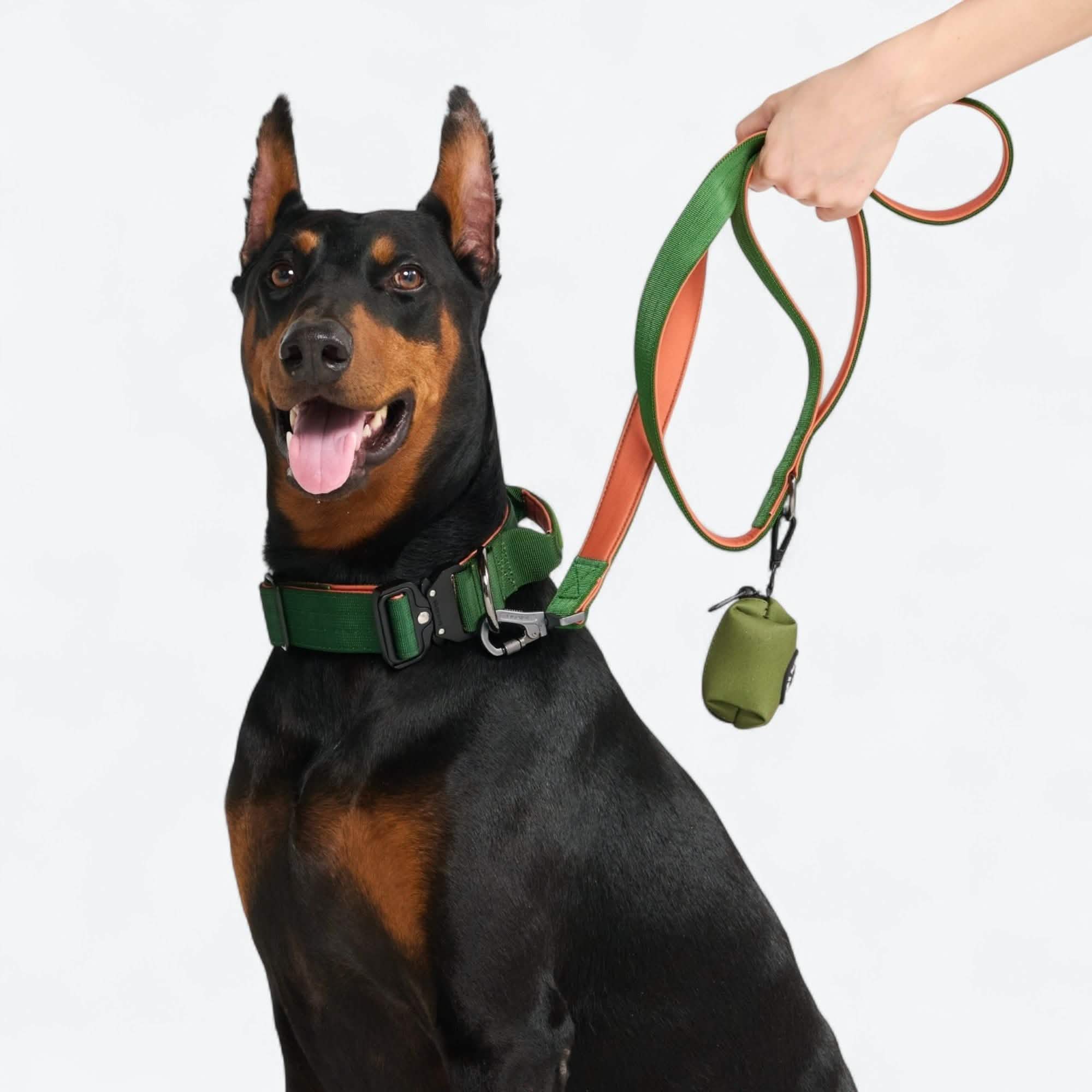 Comfort Control Collar - Green Orange - Image 2