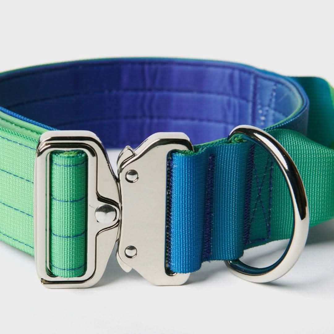 Comfort Control Collar - Lime Wave - Image 5