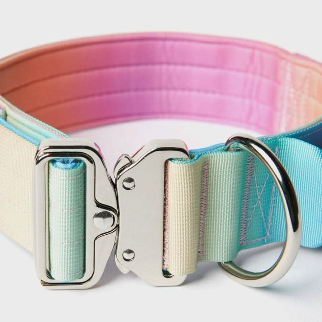 Comfort Control Collar - Pastel Icing - Image 7