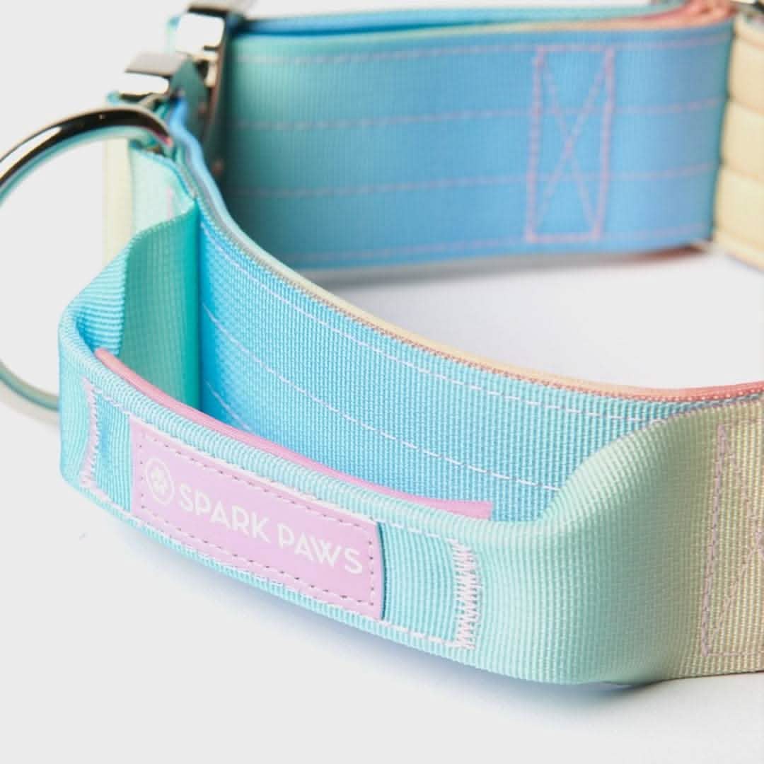 Comfort Control Collar - Pastel Icing - Image 9