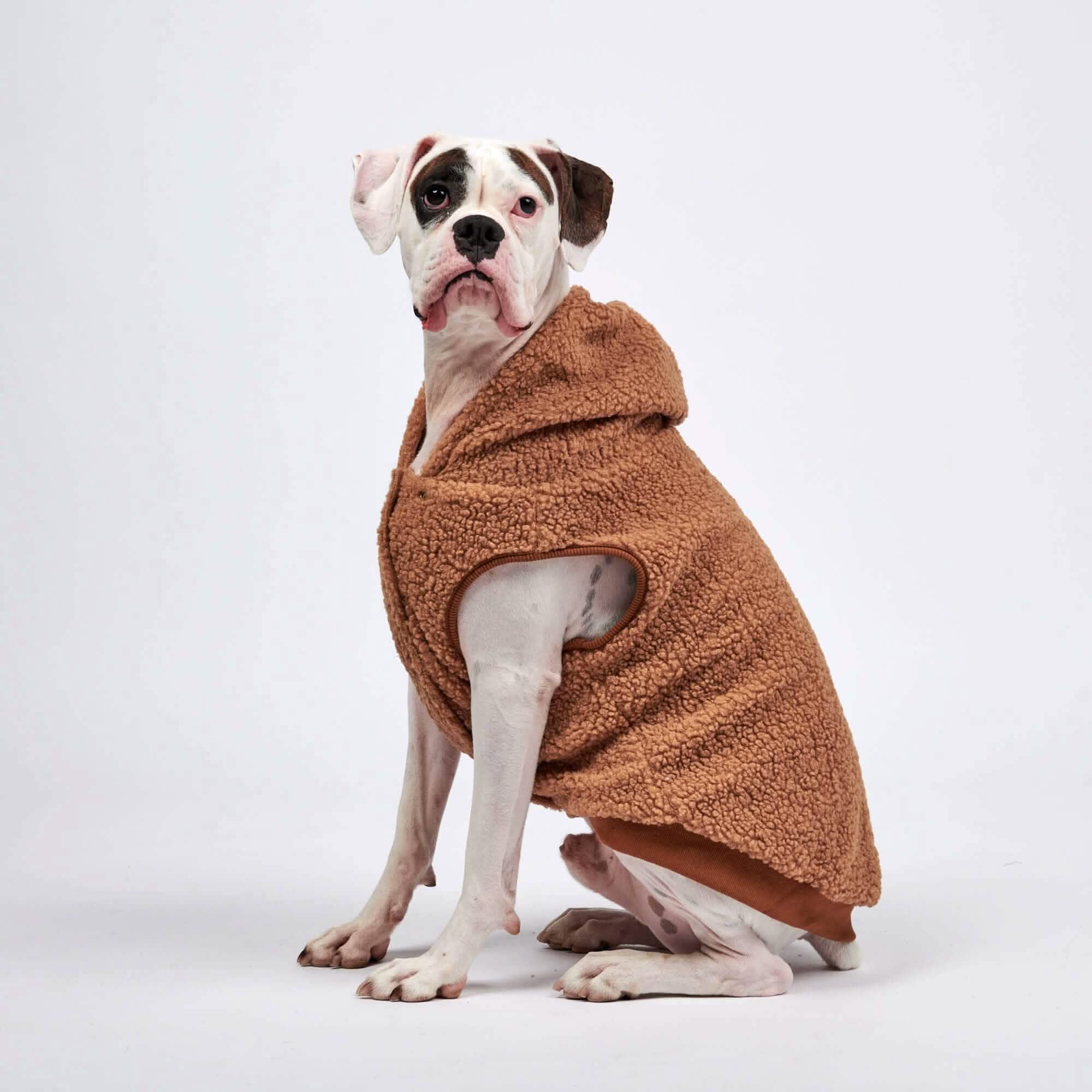 Teddy Sherpa Dog Jackets - Image 12