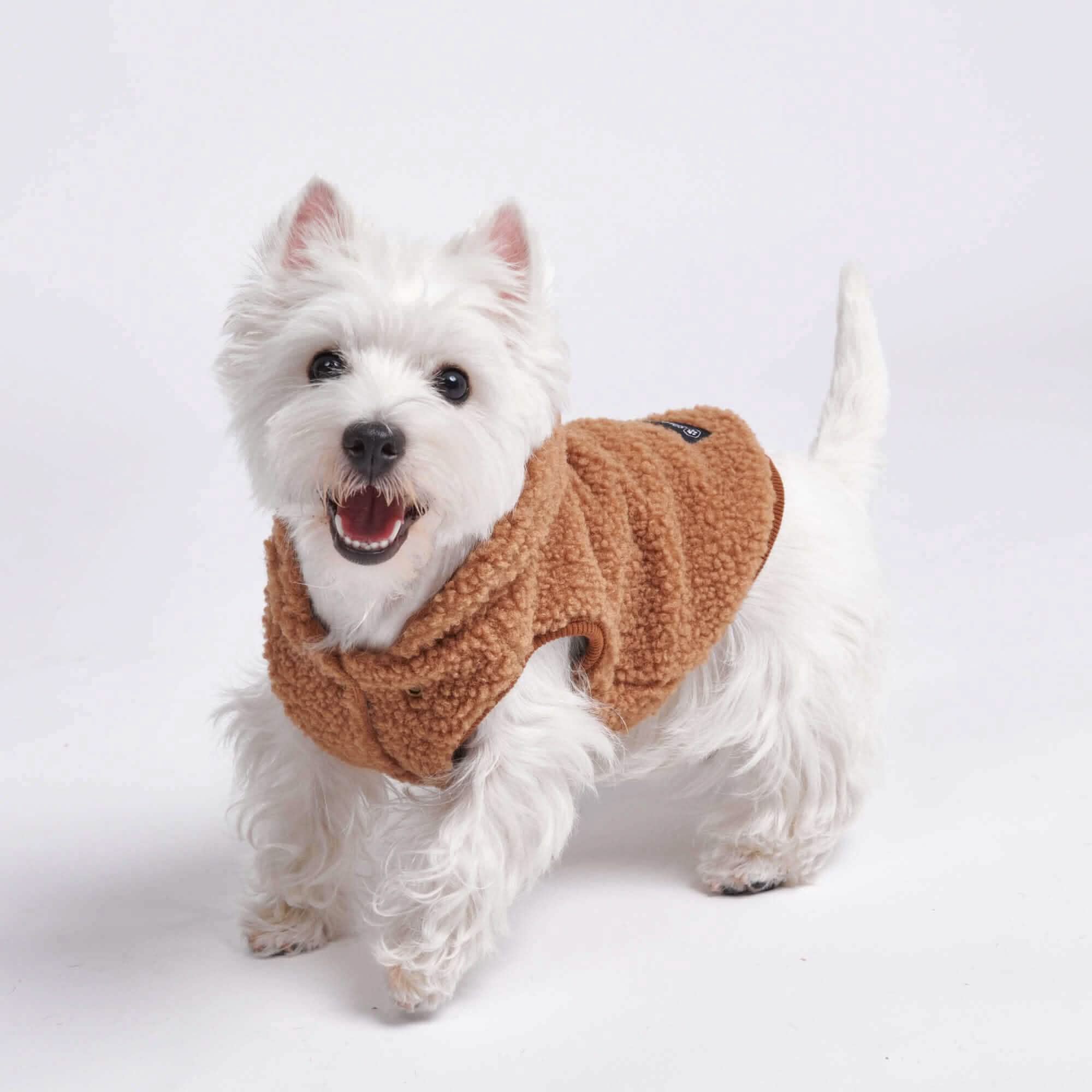 Teddy Sherpa Dog Jackets - Image 16