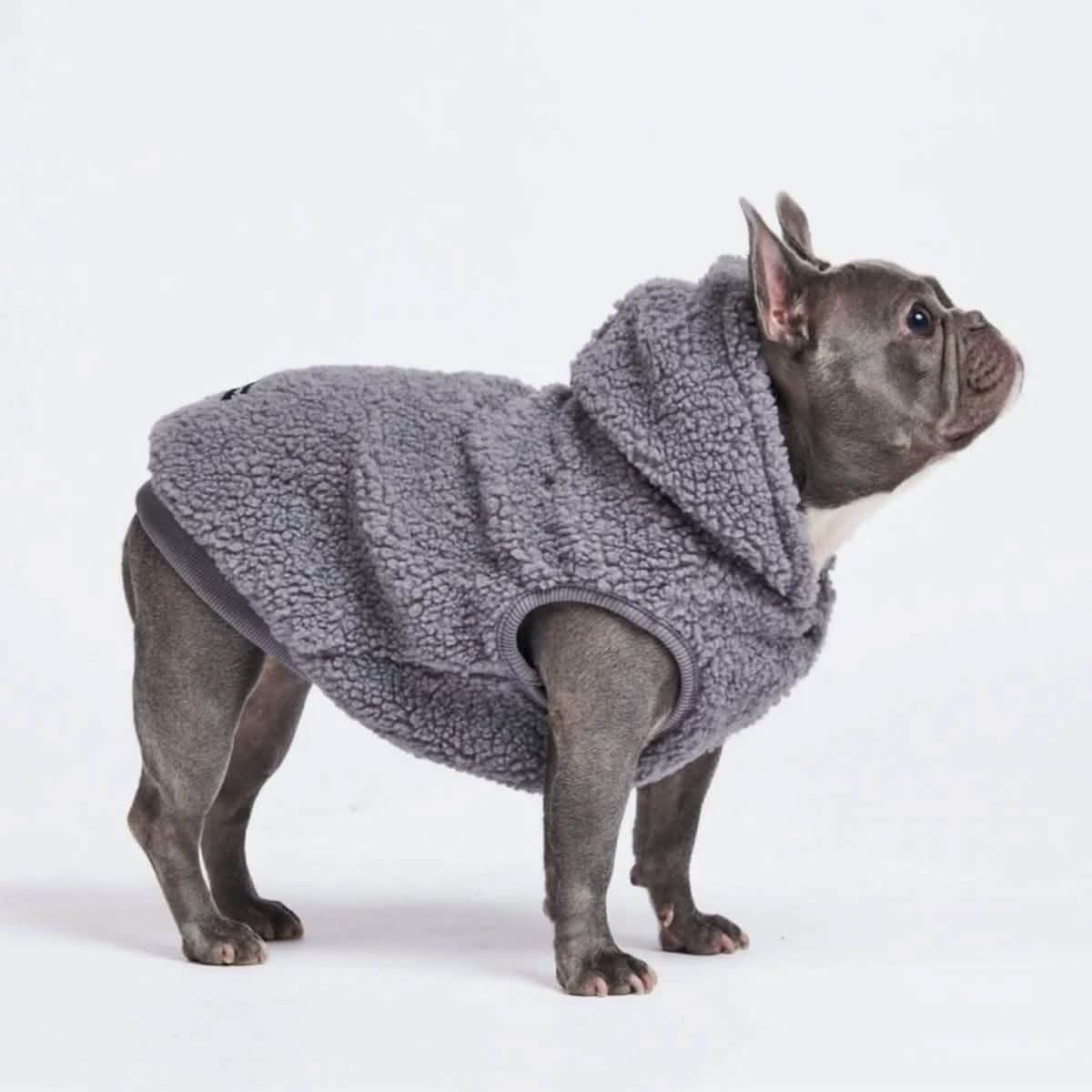 Teddy Sherpa Dog Jackets - Image 18