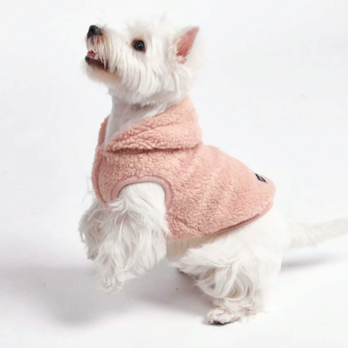Teddy Sherpa Dog Jackets - Image 34