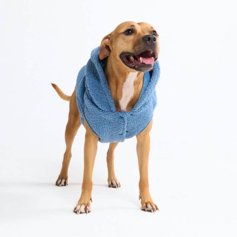 Teddy Sherpa Dog Jackets - Image 44