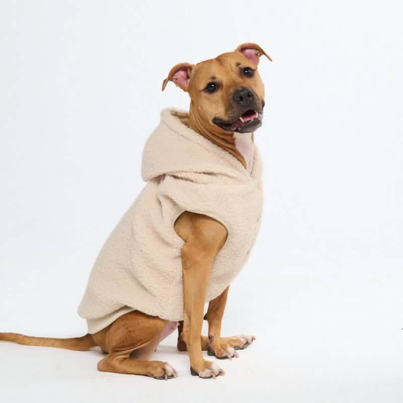 Teddy Sherpa Dog Jackets - Image 46
