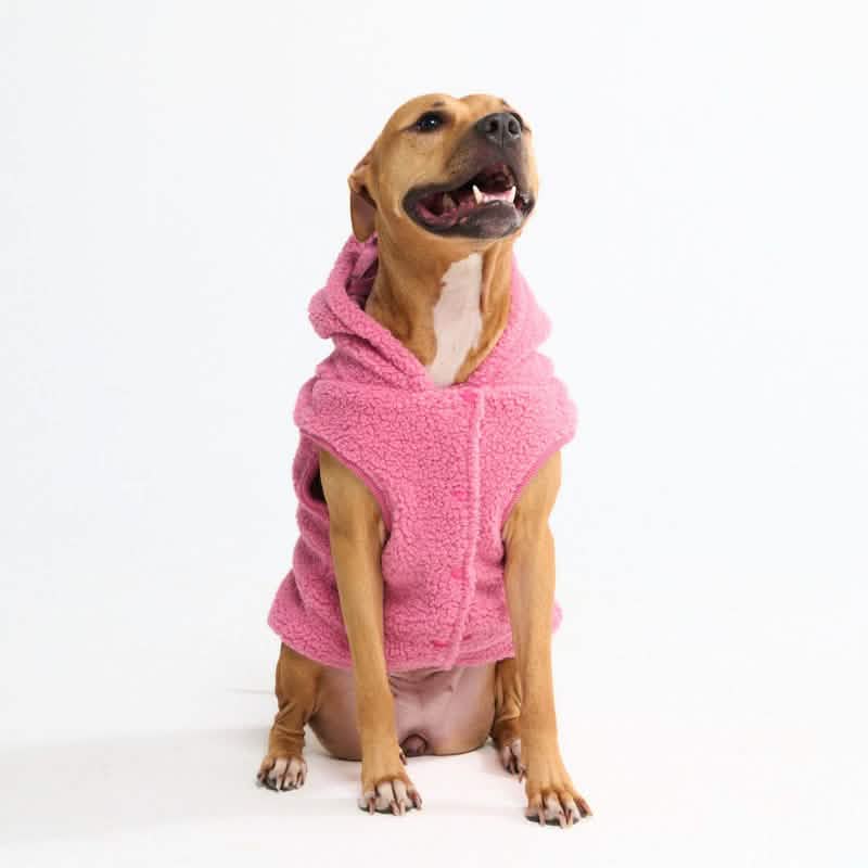 Teddy Sherpa Dog Jackets - Image 5