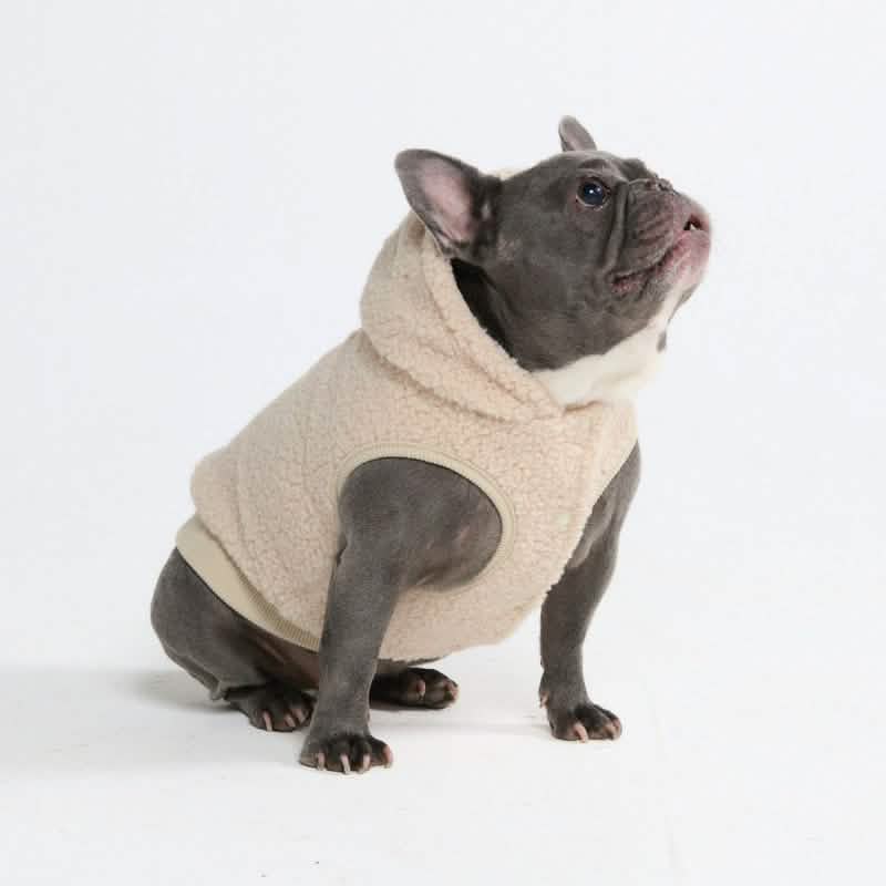 Teddy Sherpa Dog Jackets - Image 51