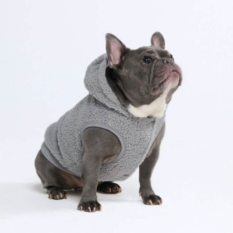 Teddy Sherpa Dog Jackets - Image 55