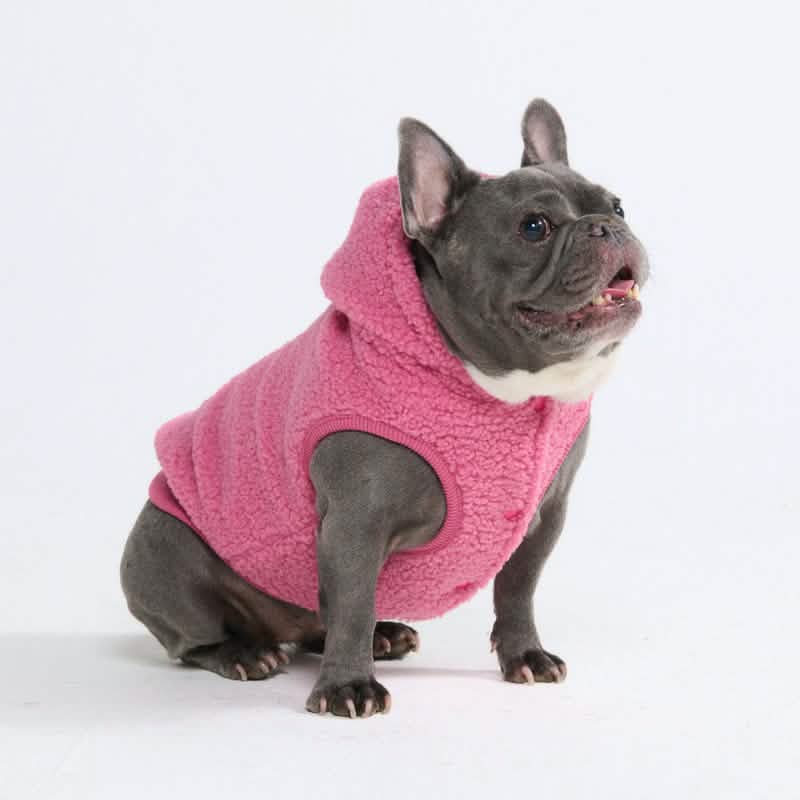 Teddy Sherpa Dog Jackets - Image 7