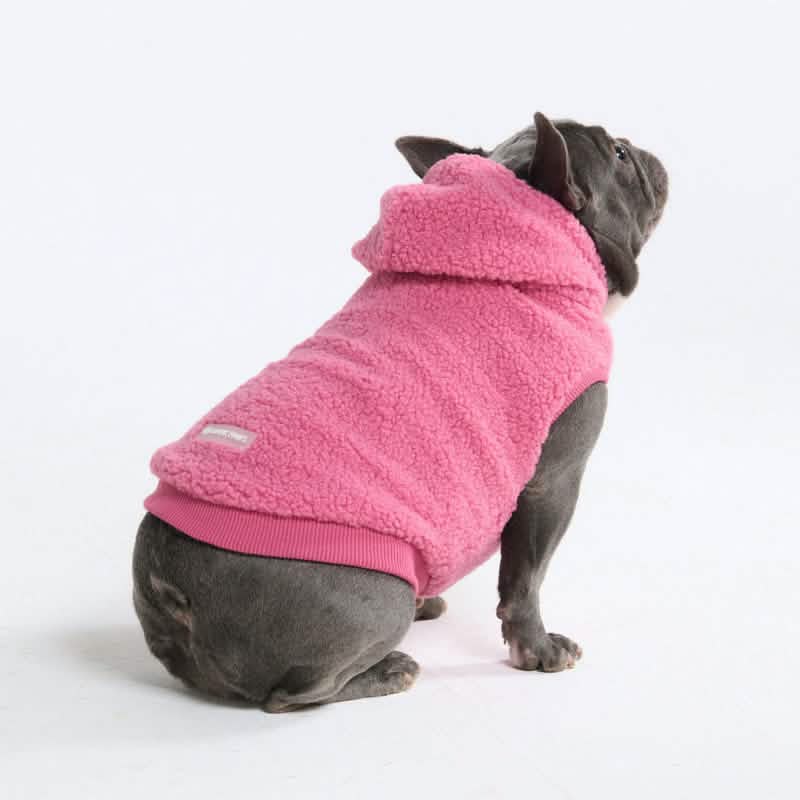 Teddy Sherpa Dog Jackets - Image 8