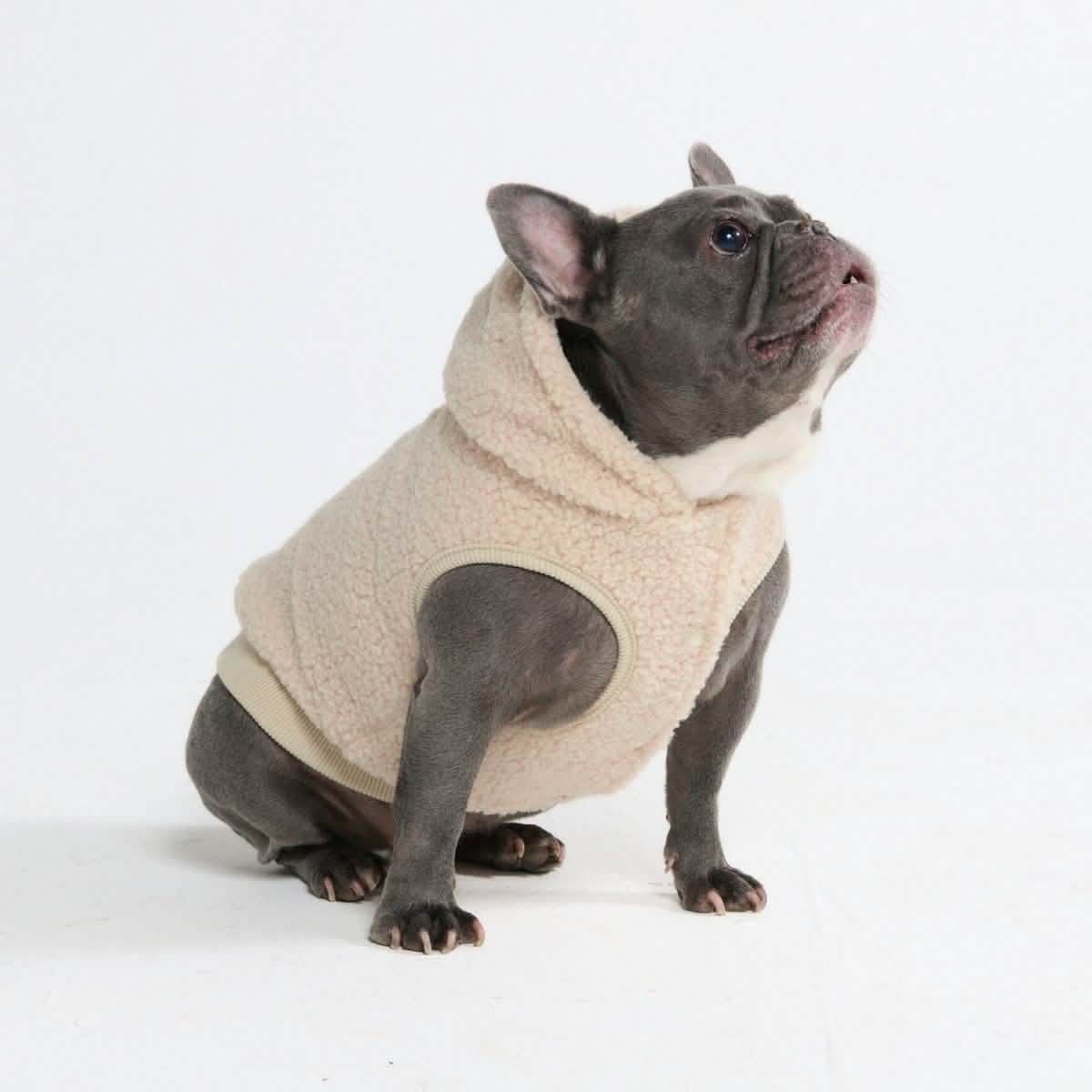 Teddy Sherpa Dog Jacket - Beige - Image 5