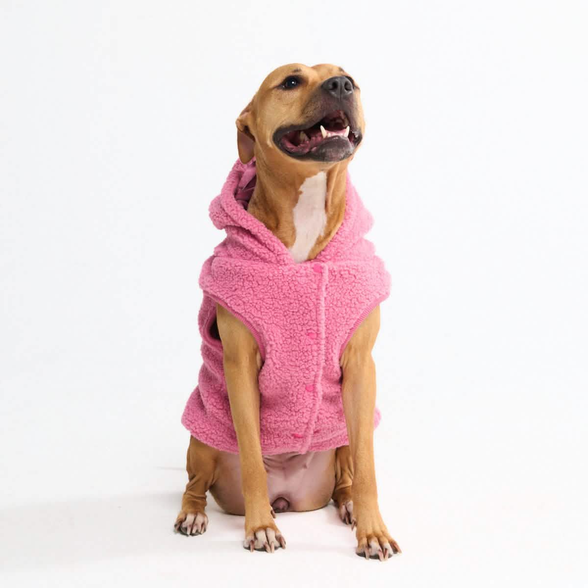 Teddy Sherpa Dog Jacket - Dark Pink - Image 4