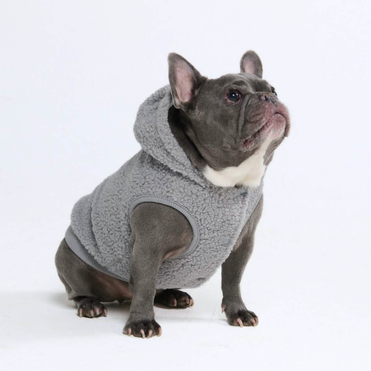 Teddy Sherpa Dog Jacket - Silver Gray - Image 3