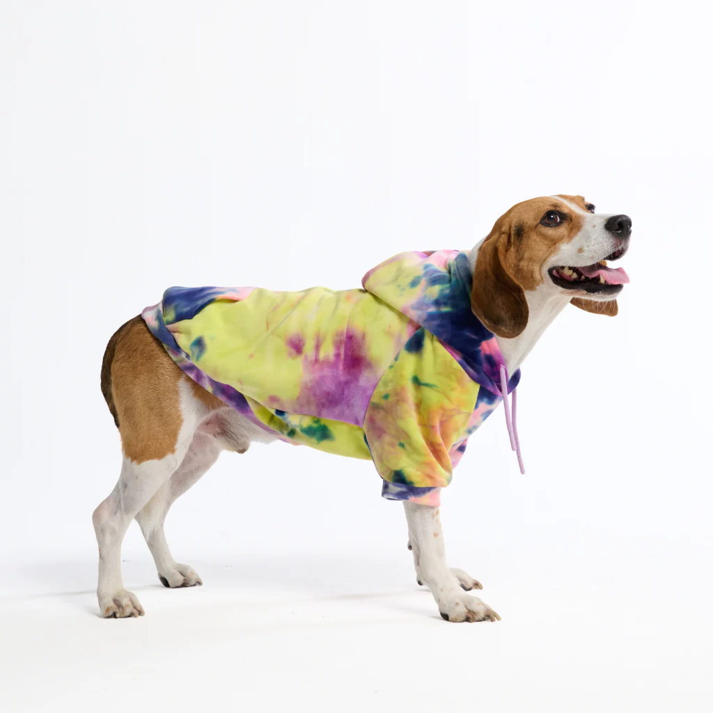 Velvet Dog Hoodie - Berry Lemonade - Image 5