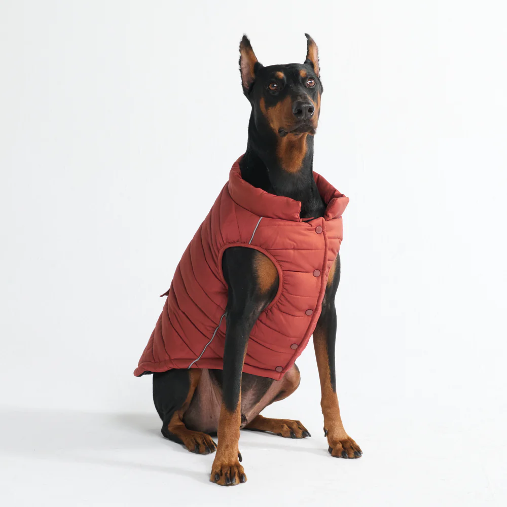WarmShield Water-Resistant Jackets - Image 73