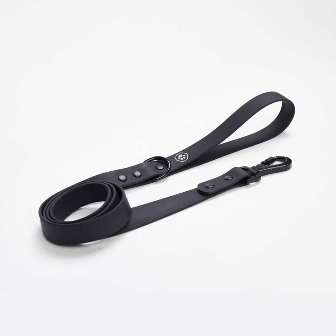 Waterproof PVC Dog Leash (Multi-Color) - Image 3