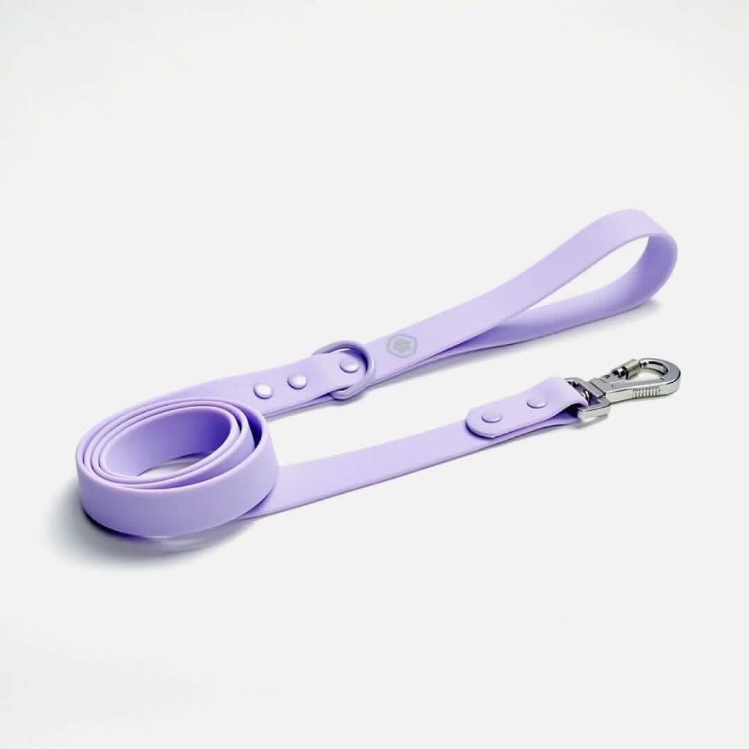 Waterproof PVC Dog Leash (Multi-Color) - Image 5