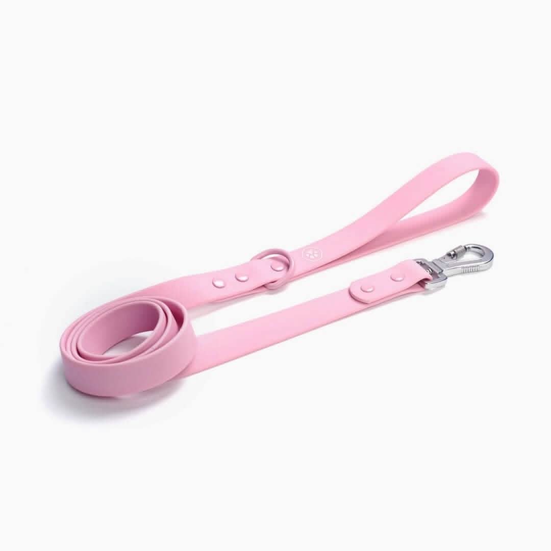 Waterproof PVC Dog Leash (Multi-Color) - Image 7