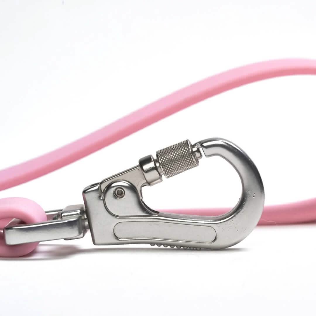 Waterproof PVC Dog Leash (Multi-Color) - Image 8