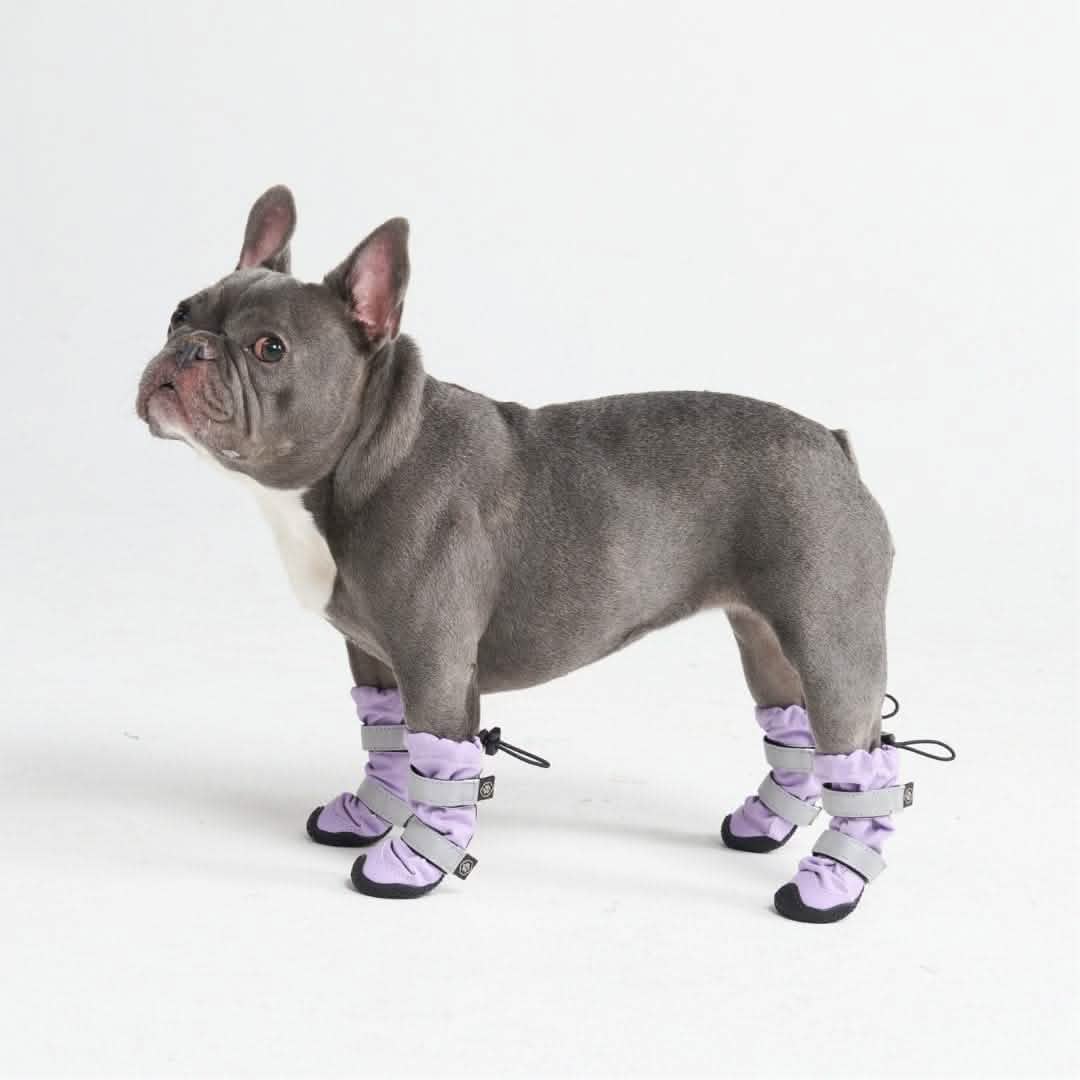 Flex Shell Waterproof Dog Boots - Image 10