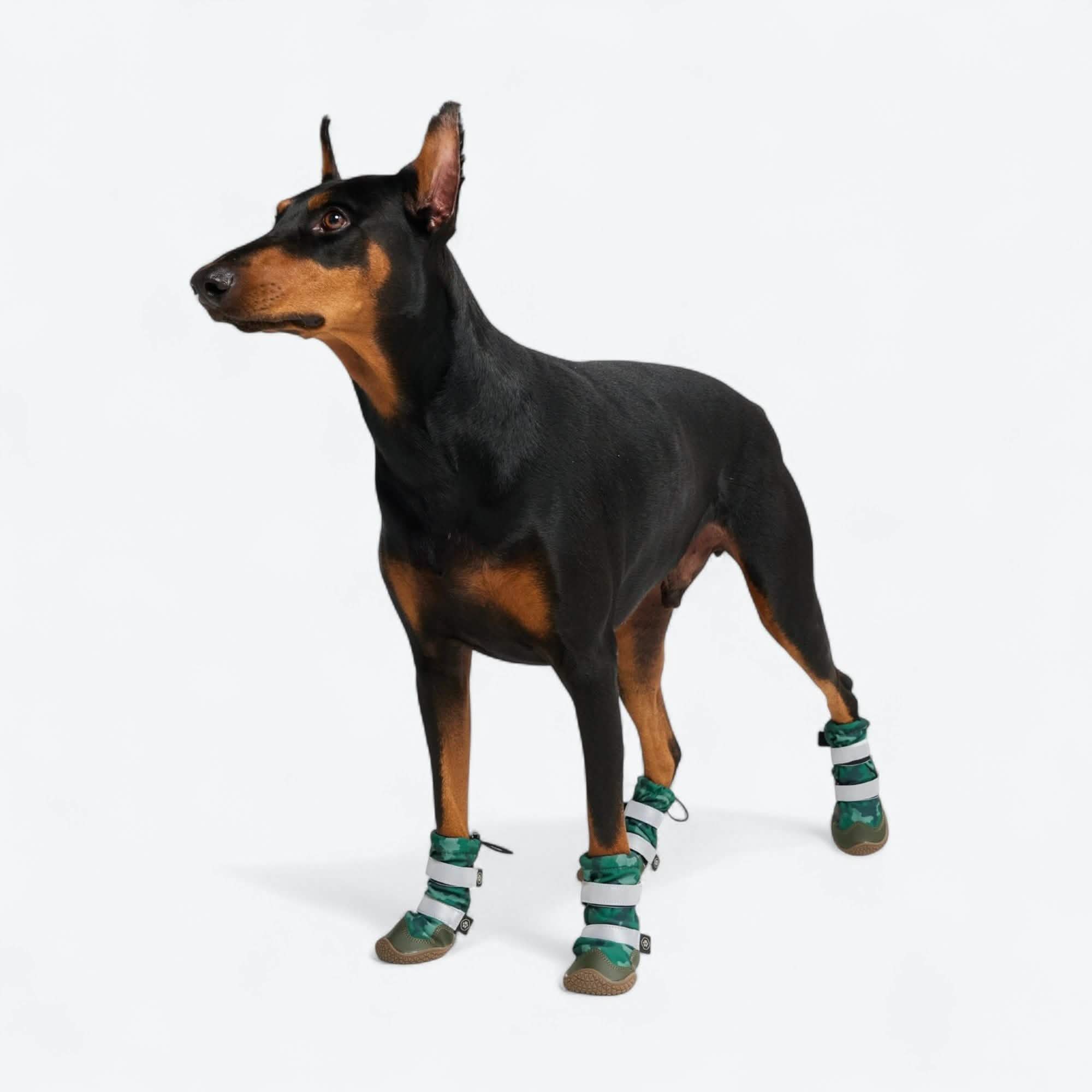 Flex Shell Waterproof Dog Boots - Image 42