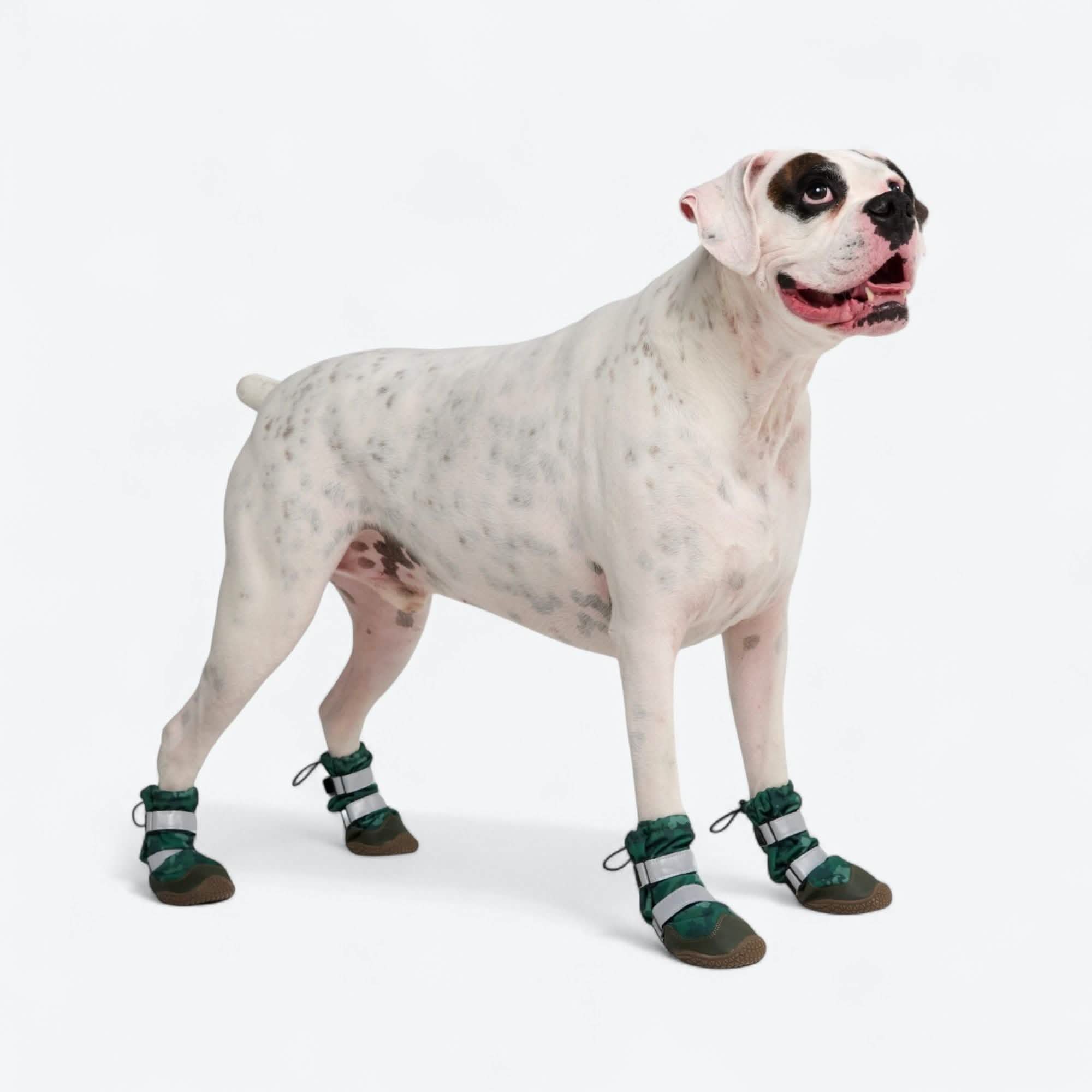 Flex Shell Waterproof Dog Boots - Image 44