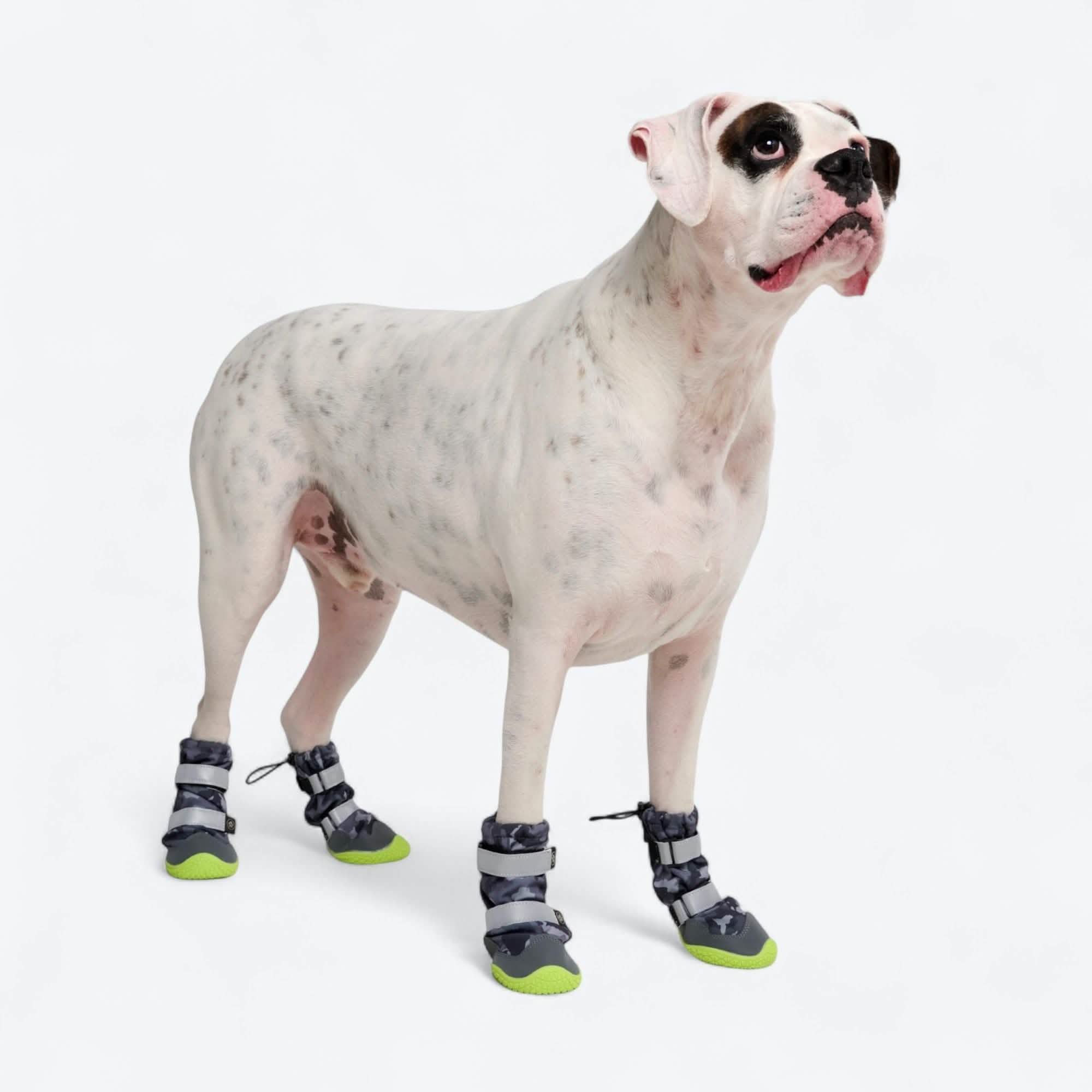 Flex Shell Waterproof Dog Boots - Image 36
