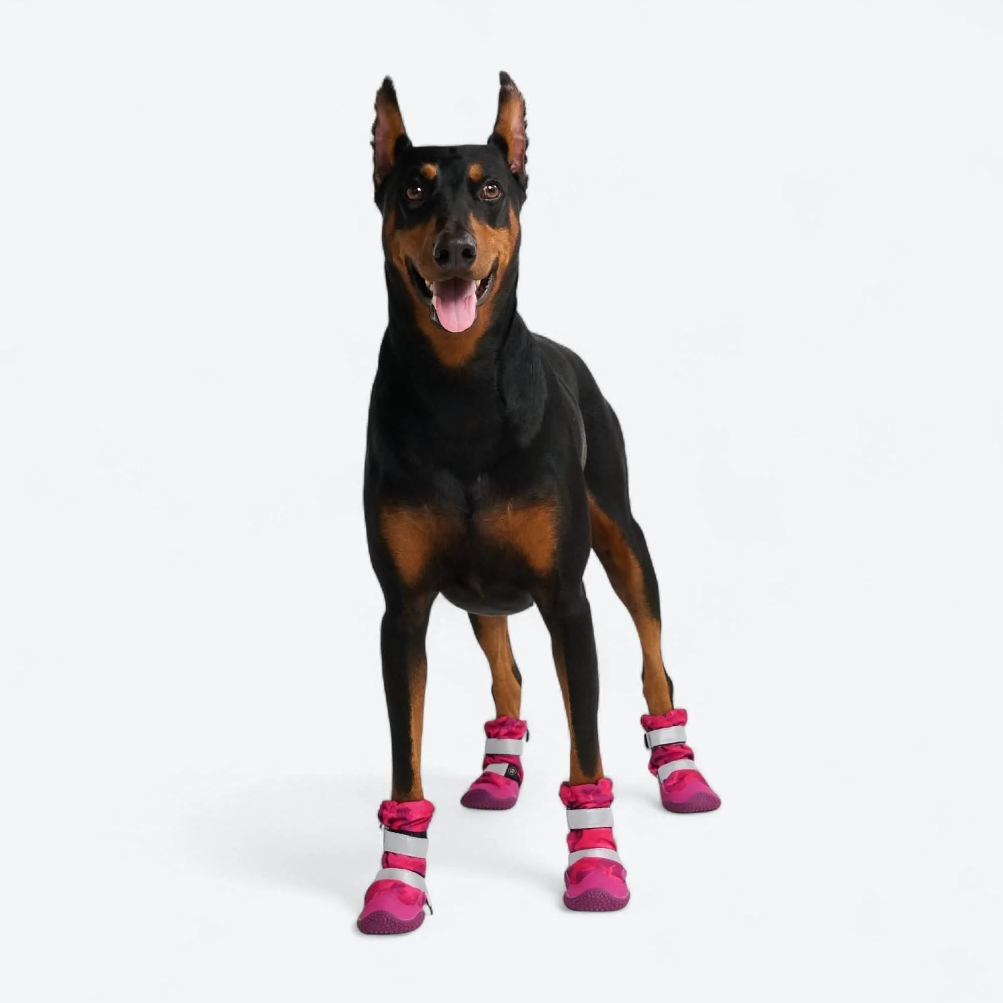 Flex Shell Waterproof Dog Boots - Image 63